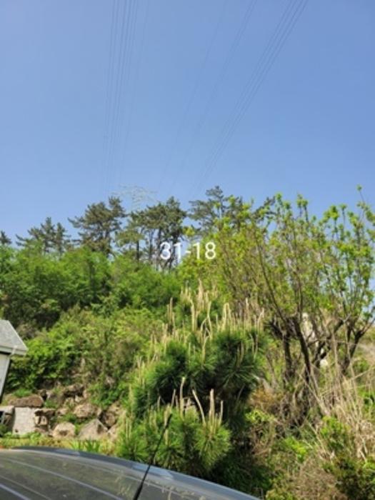 법원경매 2024타경103828 사진22 | 부산 기장군 장안읍 길천리 31-7 도로 경매