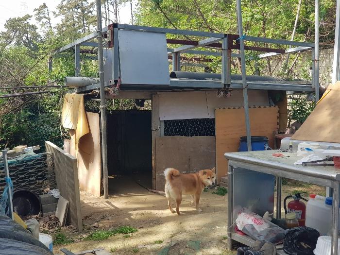 법원경매 2024타경103828 사진5 | 부산 기장군 장안읍 길천리 31-7 도로 경매
