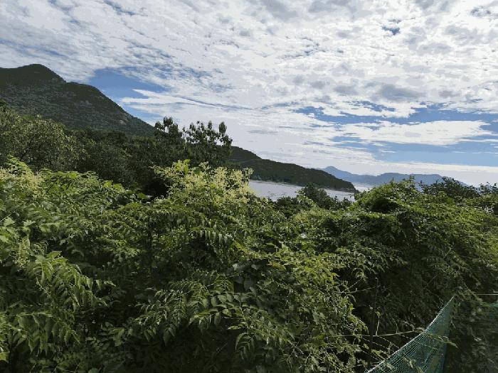 전북특별자치도 부안군 변산면 도청리 97 법원경매 물건 대표사진