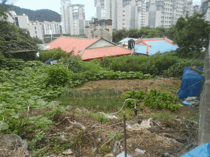 경상남도 거제시 아주동 1268 법원경매 물건 대표사진