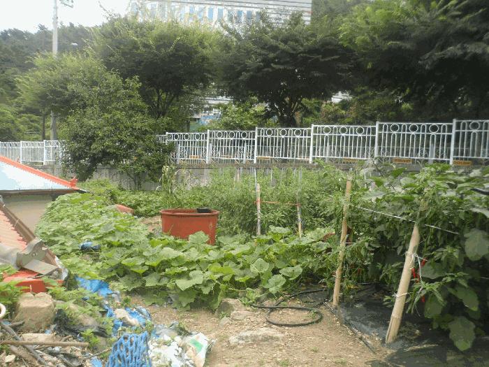 2025타경21683 법원경매 사진4 | 경남 거제시 대지 경매