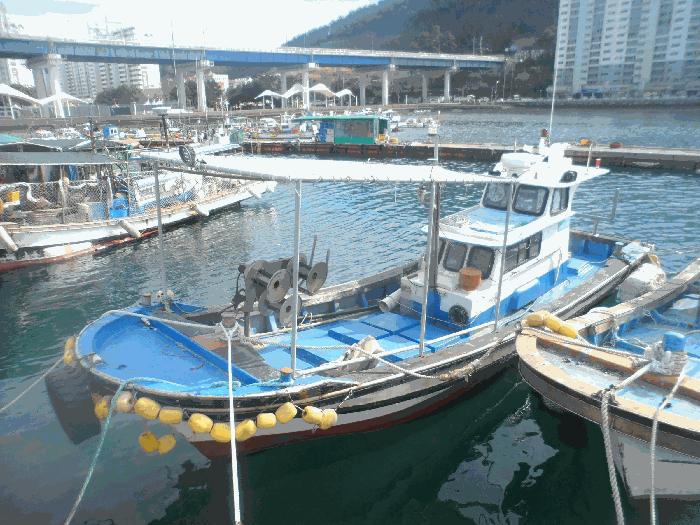 경상남도 거제시 장목면 외포리 외포항 법원경매 물건 대표사진