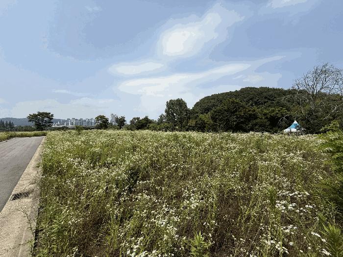 2025타경30922 법원경매 사진3 | 경남 진주시 전 경매