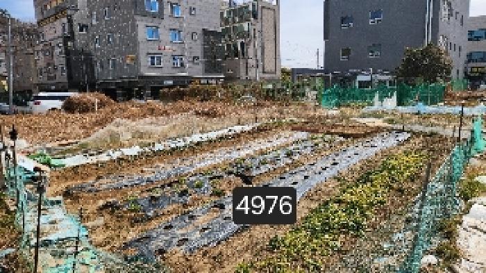 법원경매 2025타경4976 사진7 | 부산 기장군 일광읍 이천리 927-4 대지 경매