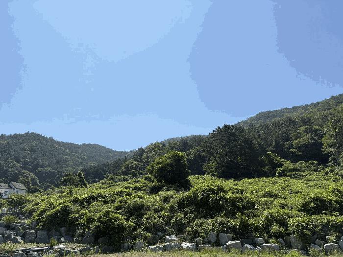 2025타경30947 법원경매 사진2 | 경남 남해군 전 경매