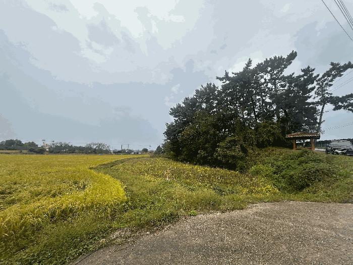 2025타경30452 법원경매 사진3 | 전북 고창군 임야 경매