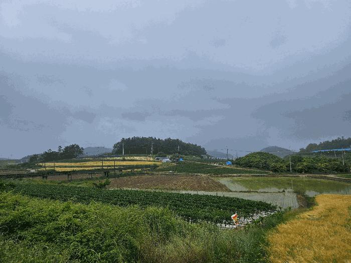 2025타경1153 법원경매 사진2 | 전남 해남군 임야 경매