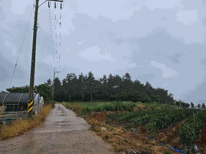 2025타경1153 법원경매 사진3 | 전남 해남군 임야 경매