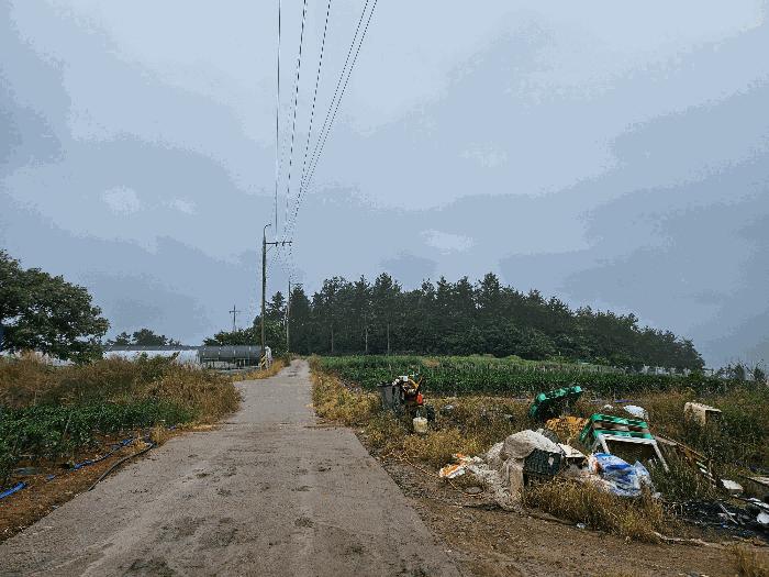 2025타경1153 법원경매 사진7 | 전남 해남군 임야 경매