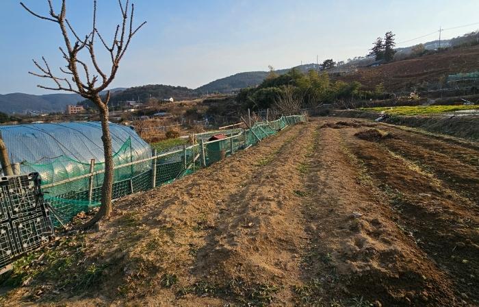 2024타경32633 법원경매 사진2 | 경남 거제시 주택건물 경매