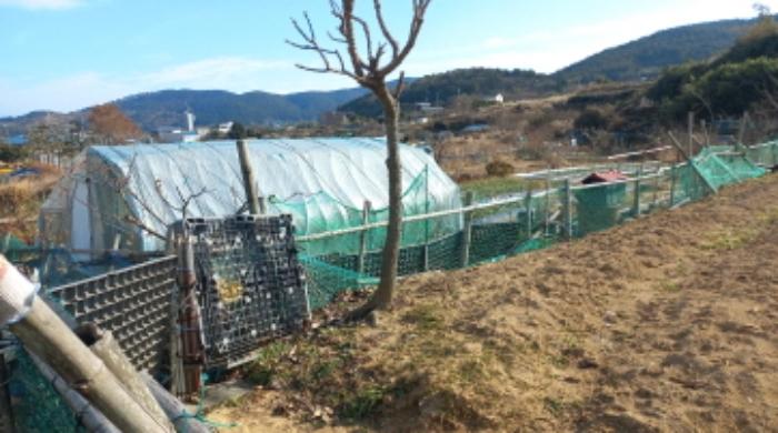 2024타경32633 법원경매 사진45 | 경남 거제시 주택건물 경매