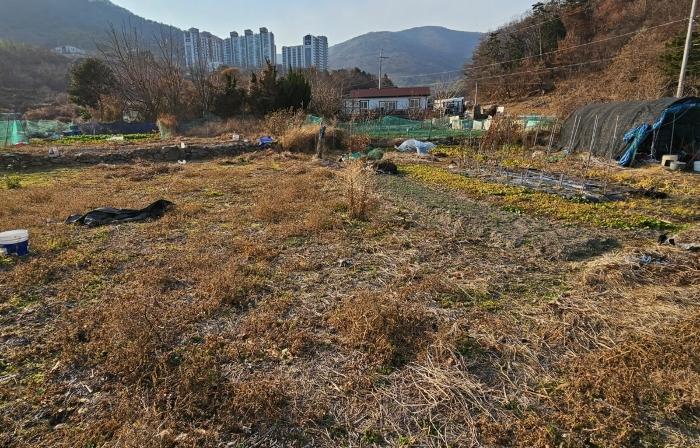 2024타경32633 법원경매 사진7 | 경남 거제시 주택건물 경매