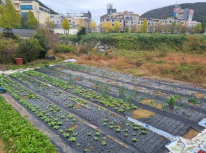 2024타경61162 법원경매 사진7 | 전남 여수시 답 경매