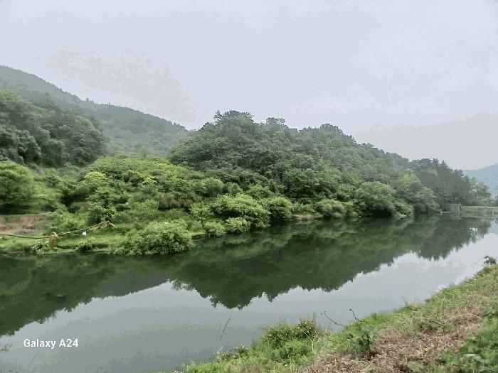 2025타경421 법원경매 사진7 | 전남 광양시 임야 경매