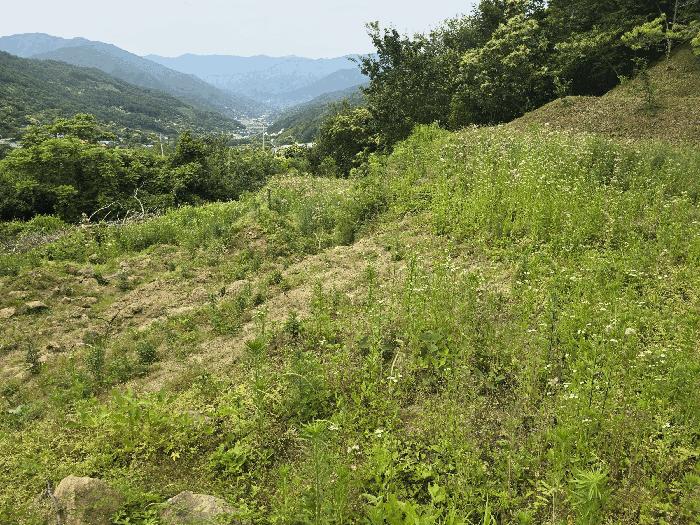 2025타경439 법원경매 사진2 | 전남 광양시 답 경매