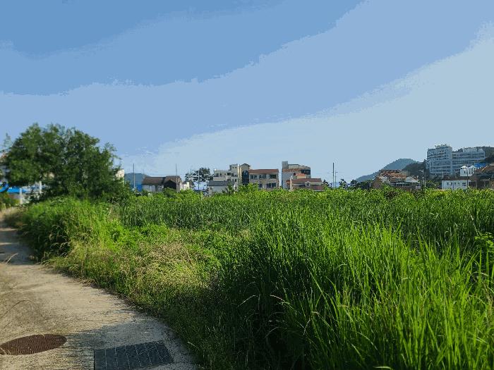 2025타경21513 법원경매 사진2 | 경남 거제시 답 경매