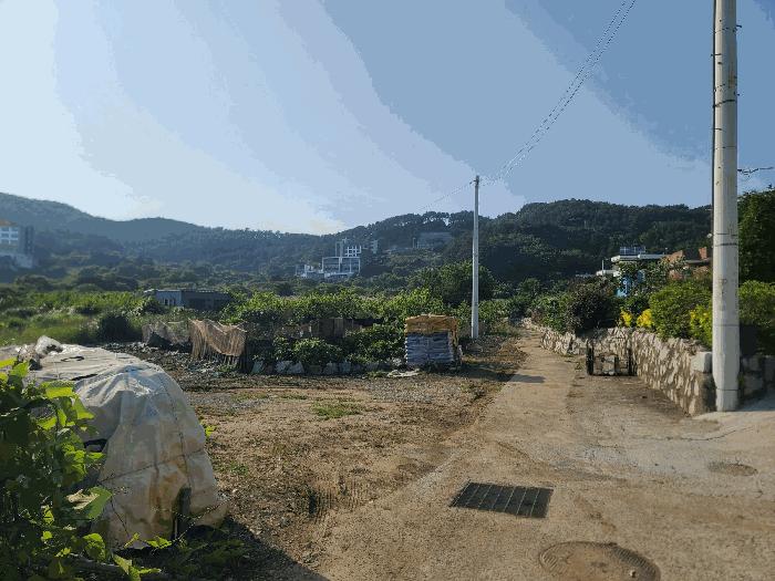 2025타경21513 법원경매 사진3 | 경남 거제시 답 경매