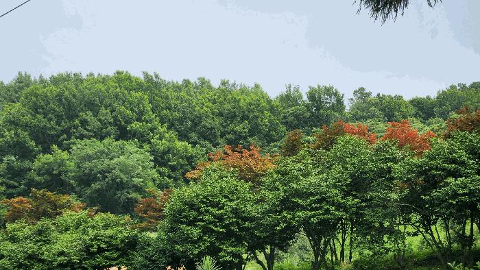 전라남도 여수시 율촌면 월산리 248-32 법원경매 물건 대표사진