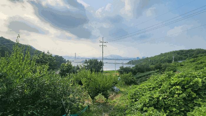 2025타경51694 법원경매 사진3 | 전남 여수시 임야 경매