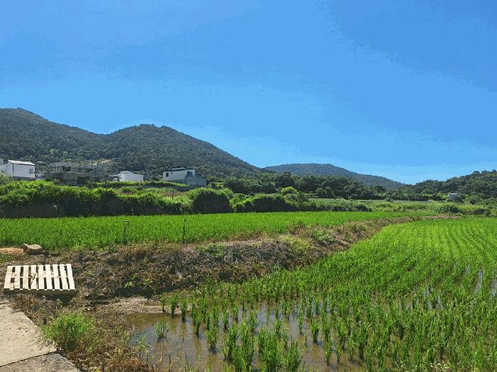 2025타경51763 법원경매 사진3 | 전남 여수시 답 경매