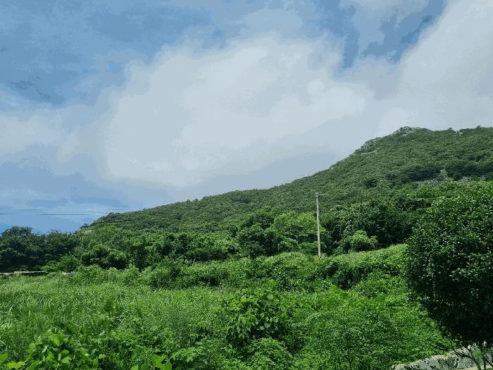 전남 고흥군 금산면 어전리 221 답 사진 2