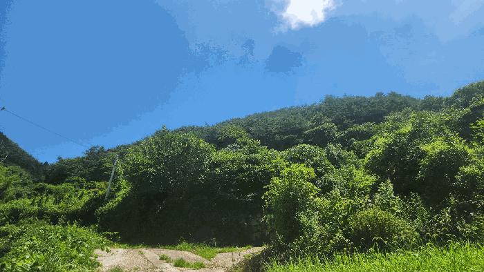 2025타경51796 법원경매 사진2 | 전남 순천시 대지 경매