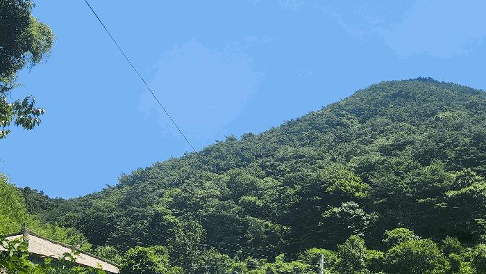 2025타경51796 법원경매 사진3 | 전남 순천시 대지 경매