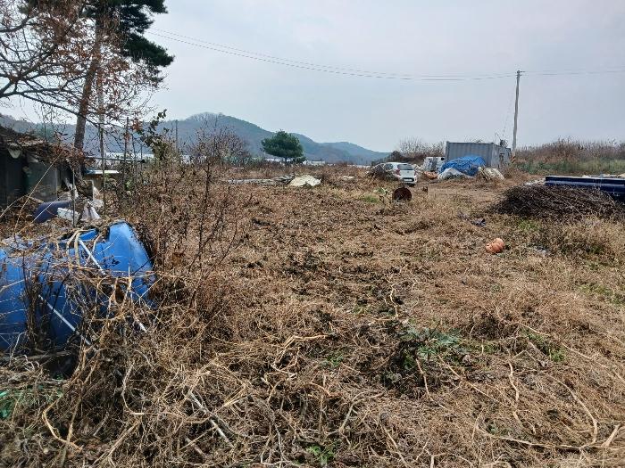 법원경매 2024타경97521 사진22 | 화성시 비봉면 쌍학리 575-10 전 경매