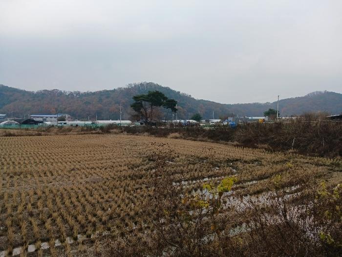 법원경매 2024타경97521 사진4 | 화성시 비봉면 쌍학리 575-10 전 경매