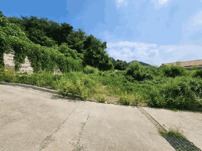 2024타경11797 법원경매 사진2 | 인천 강화군 임야 경매