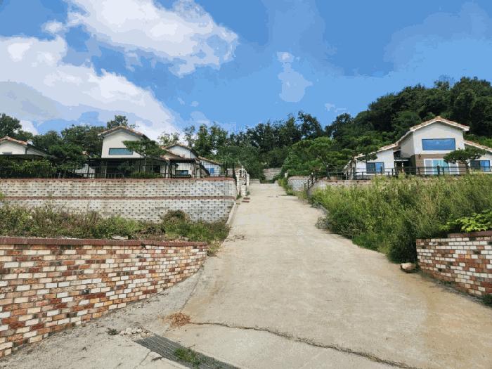 2024타경11797 법원경매 사진3 | 인천 강화군 임야 경매