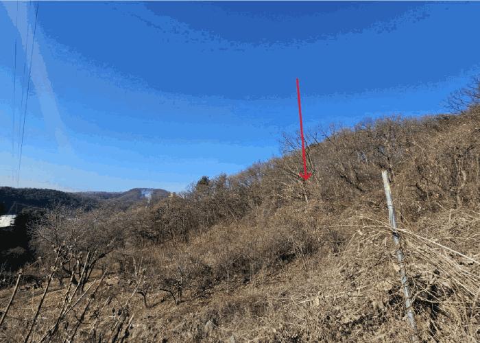 법원경매 2025타경72590 사진6 | 동두천시 광암동 임야 경매