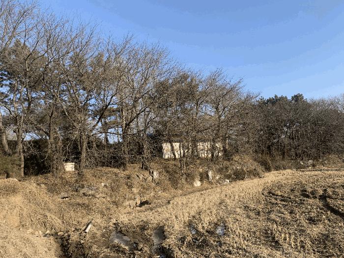 2024타경579842 법원경매 사진9 | 인천 강화군 전 경매