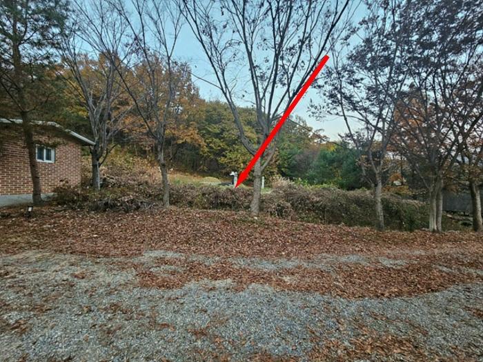 법원경매 2024타경4542 사진4 | 평택시 진위면 동천리 157 전 경매
