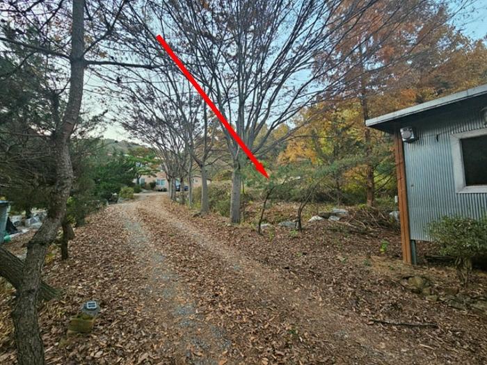 법원경매 2024타경4542 사진5 | 평택시 진위면 동천리 157 전 경매