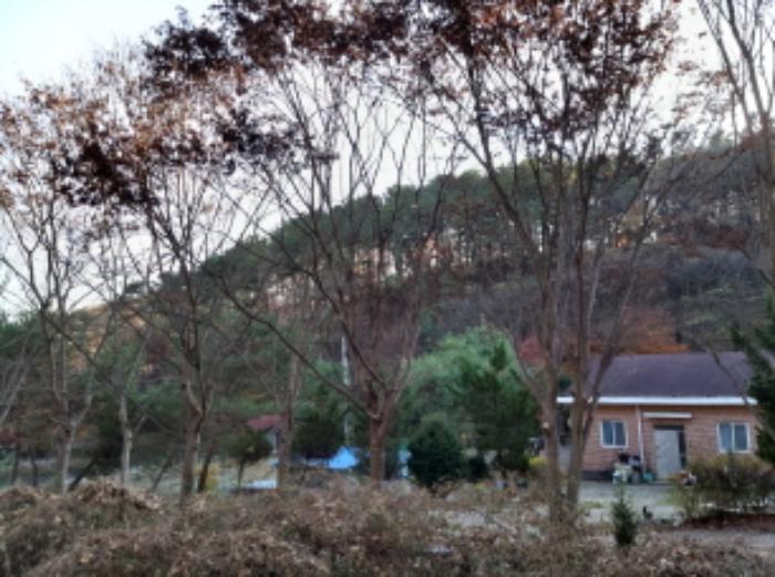 법원경매 2024타경4542 사진7 | 평택시 진위면 동천리 157 전 경매