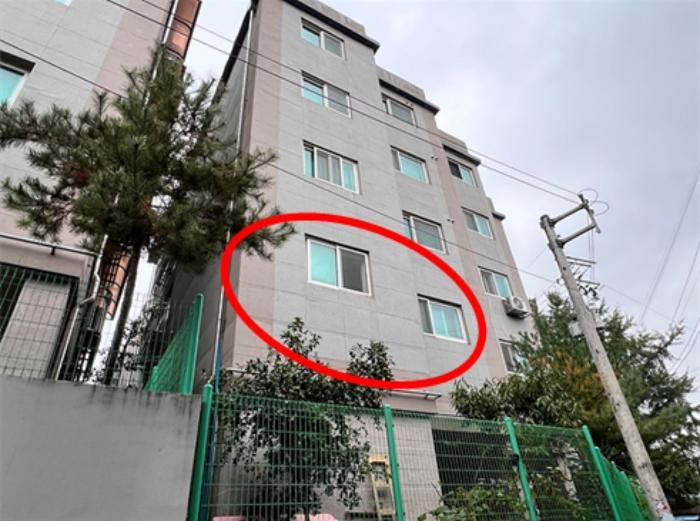 경기도 안성시 공도읍 승두3길 29-10 2동 2층202호 (대연하늘채) 법원경매 물건 대표사진