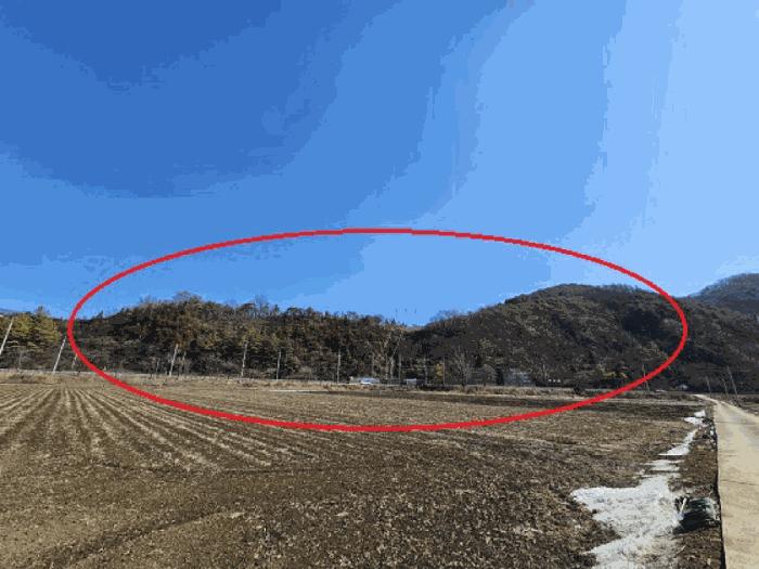법원경매 2025타경240 사진6 | 영월군 북면 문곡리 임야 경매