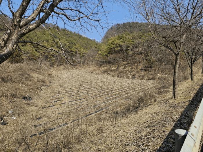강원도 영월군 영월읍 삼옥리 760 법원경매 물건 대표사진
