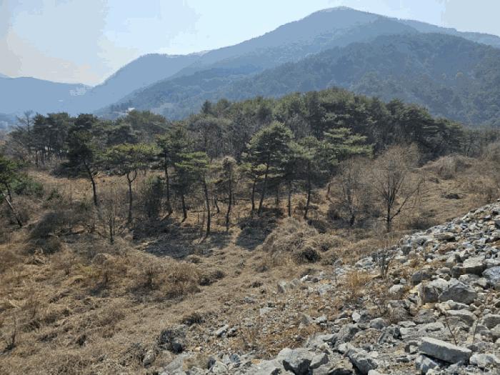 법원경매 2025타경370 사진5 | 영월군 영월읍 삼옥리 760 전 경매