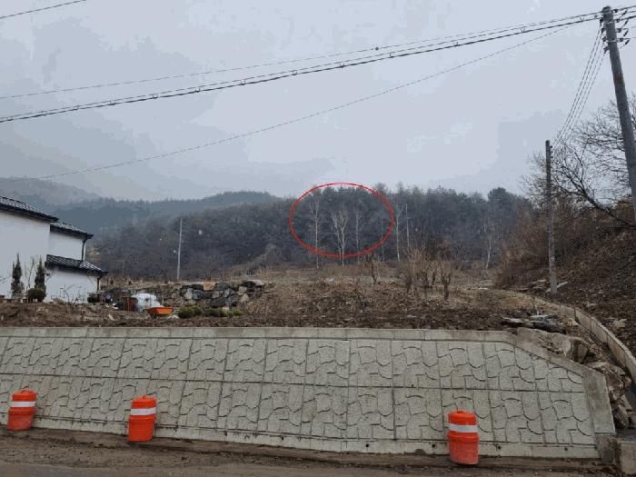 2025타경394 법원경매 사진2 | 강원 평창군 임야 경매