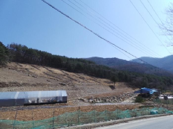 2025타경394 법원경매 사진3 | 강원 평창군 임야 경매