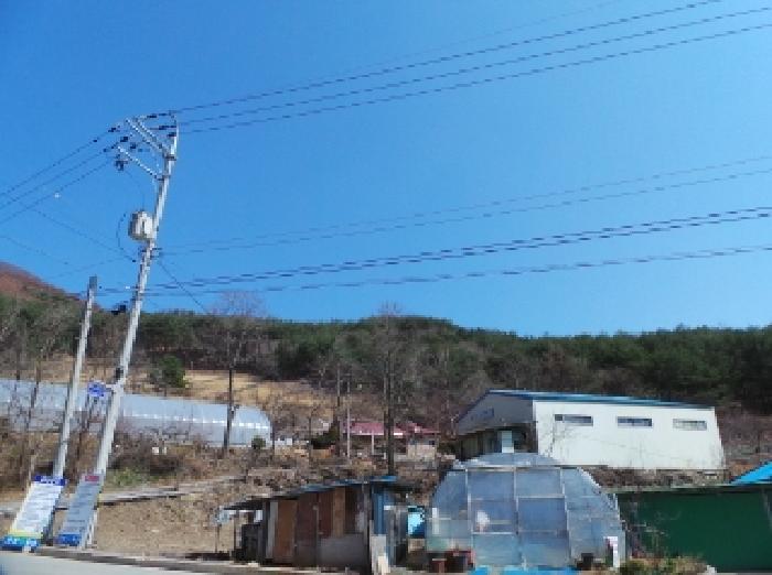 2025타경394 법원경매 사진4 | 강원 평창군 임야 경매