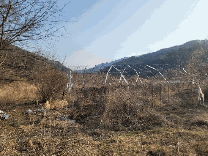 법원경매 2025타경30403 사진2 | 영월군 무릉도원면 전 경매