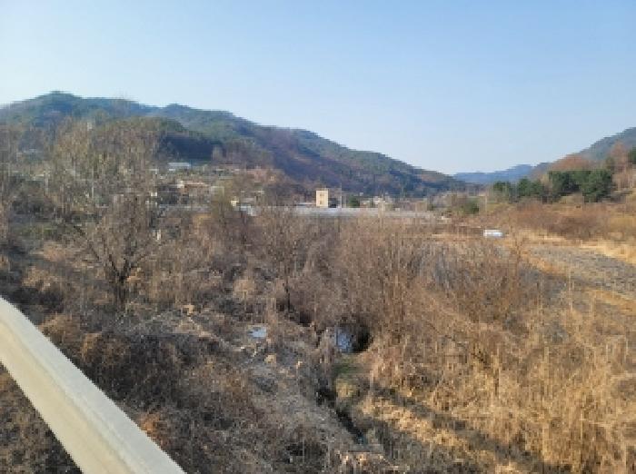 법원경매 2025타경30403 사진3 | 영월군 무릉도원면 전 경매