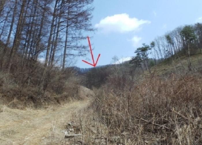 법원경매 2025타경30406 사진2 | 평창군 봉평면 덕거리 20 임야 경매