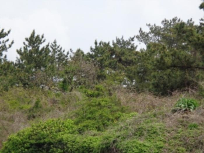 2024타경3185 법원경매 사진2 | 제주 제주시 전답 경매