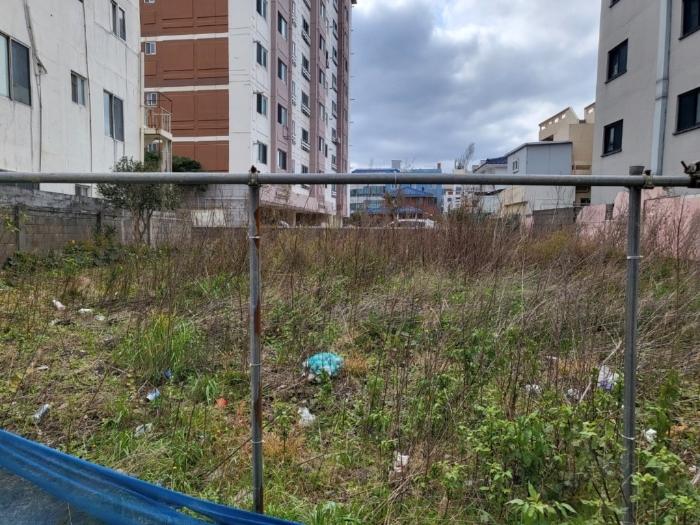 2024타경12820 법원경매 사진3 | 제주 제주시 대지 경매