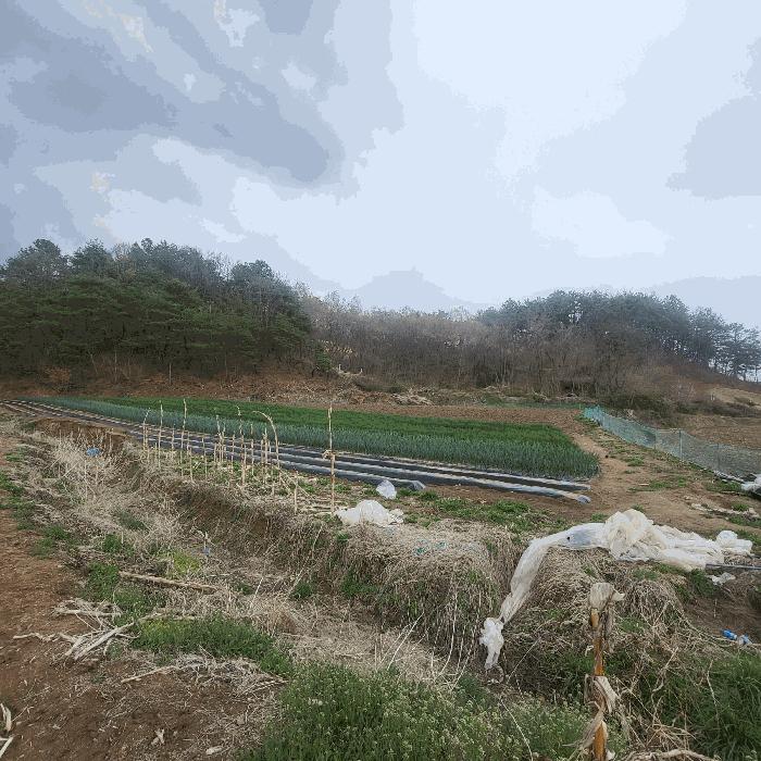 2025타경150 법원경매 사진2 | 경북 예천군 전 경매