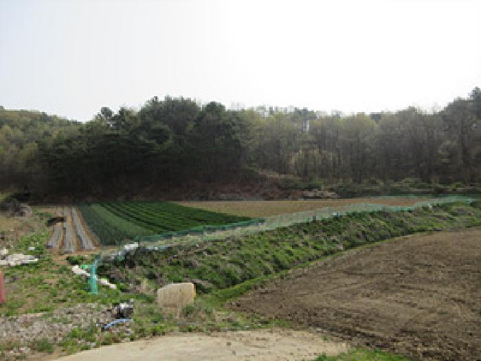2025타경150 법원경매 사진3 | 경북 예천군 전 경매